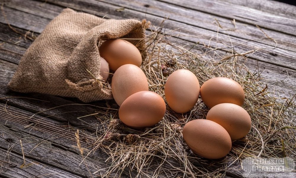 Деревенские яйца (красивое фото)